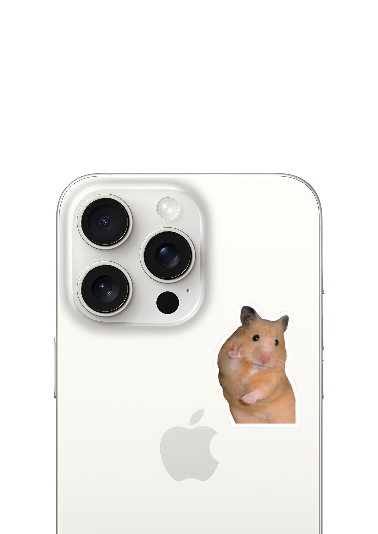 hamster ✌️