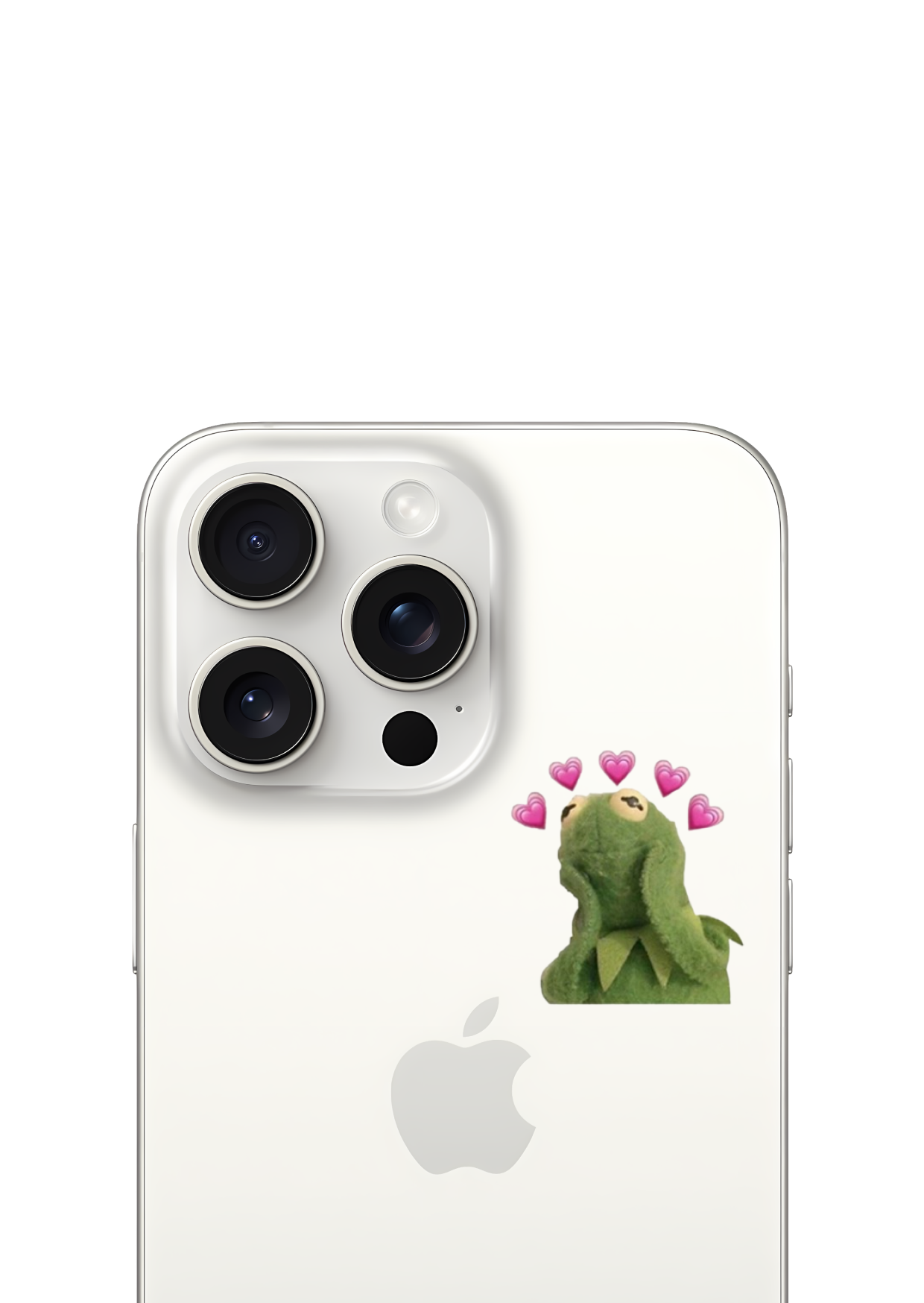 kermit 💗