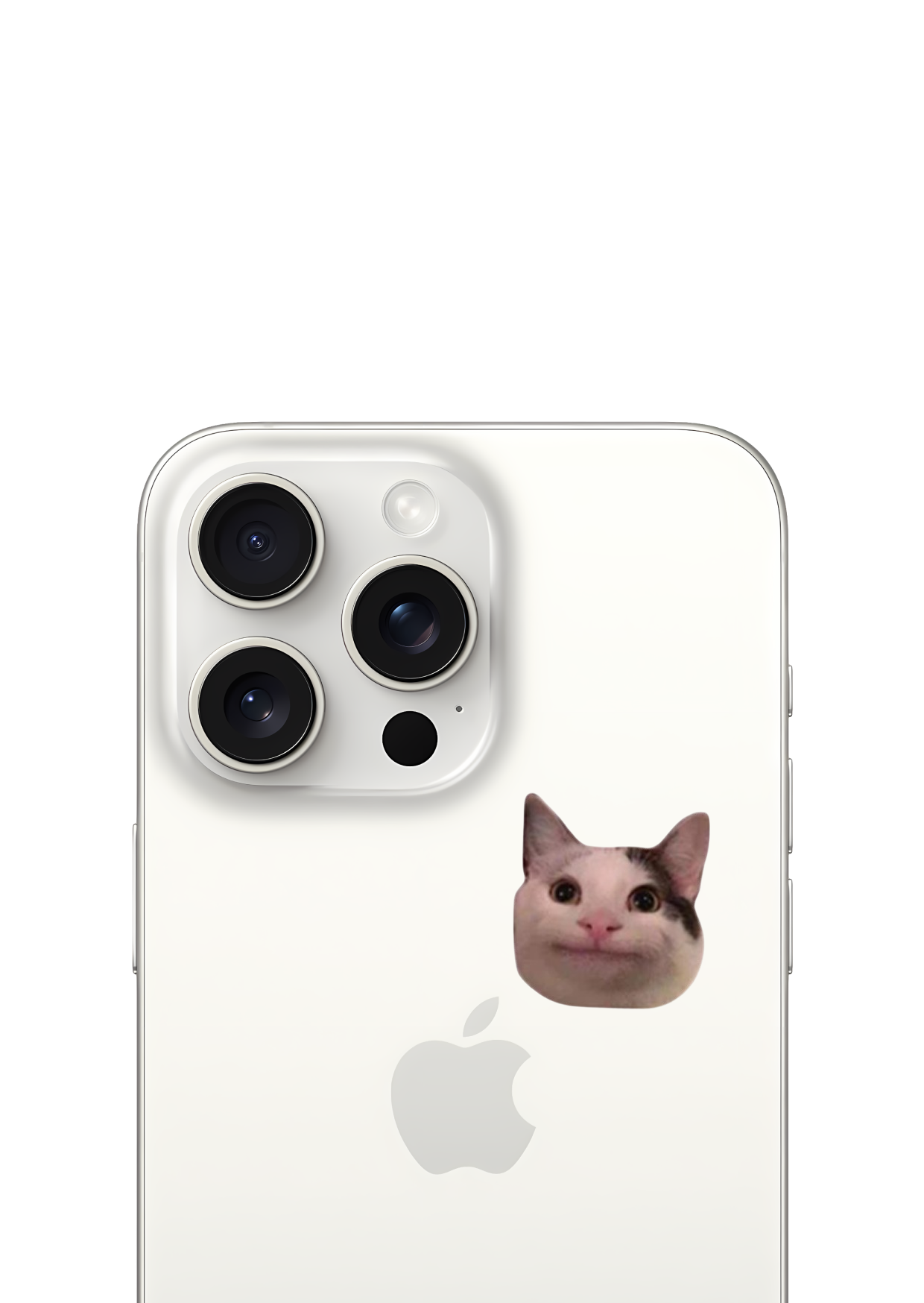 chat